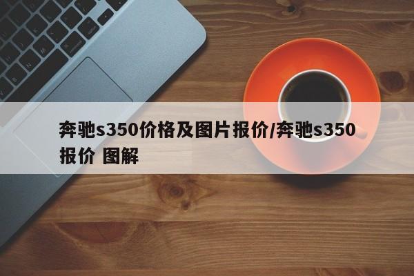 奔驰s350价格及图片报价/奔驰s350报价 图解