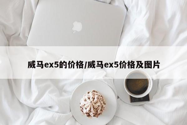 威马ex5的价格/威马ex5价格及图片