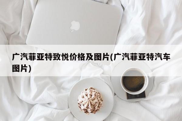 广汽菲亚特致悦价格及图片(广汽菲亚特汽车图片)