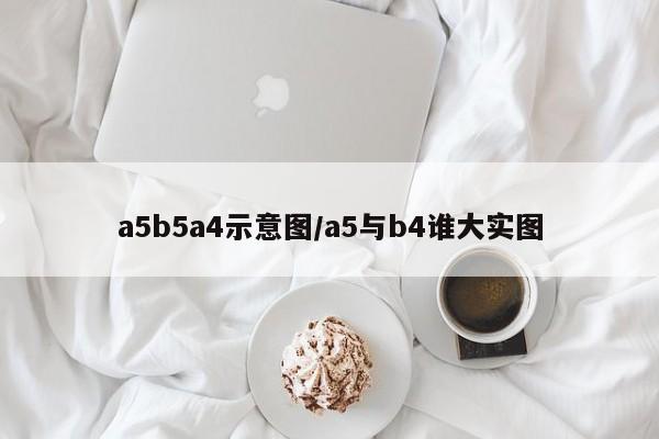 a5b5a4示意图/a5与b4谁大实图