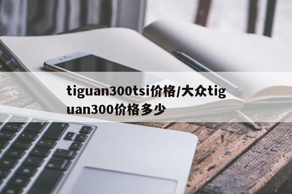 tiguan300tsi价格/大众tiguan300价格多少