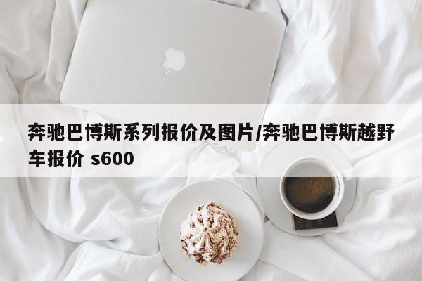 奔驰巴博斯系列报价及图片/奔驰巴博斯越野车报价 s600