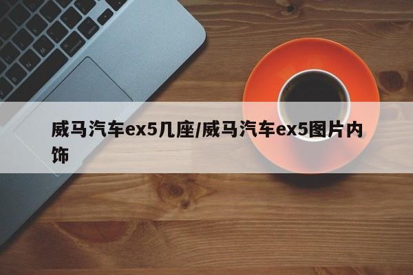 威马汽车ex5几座/威马汽车ex5图片内饰
